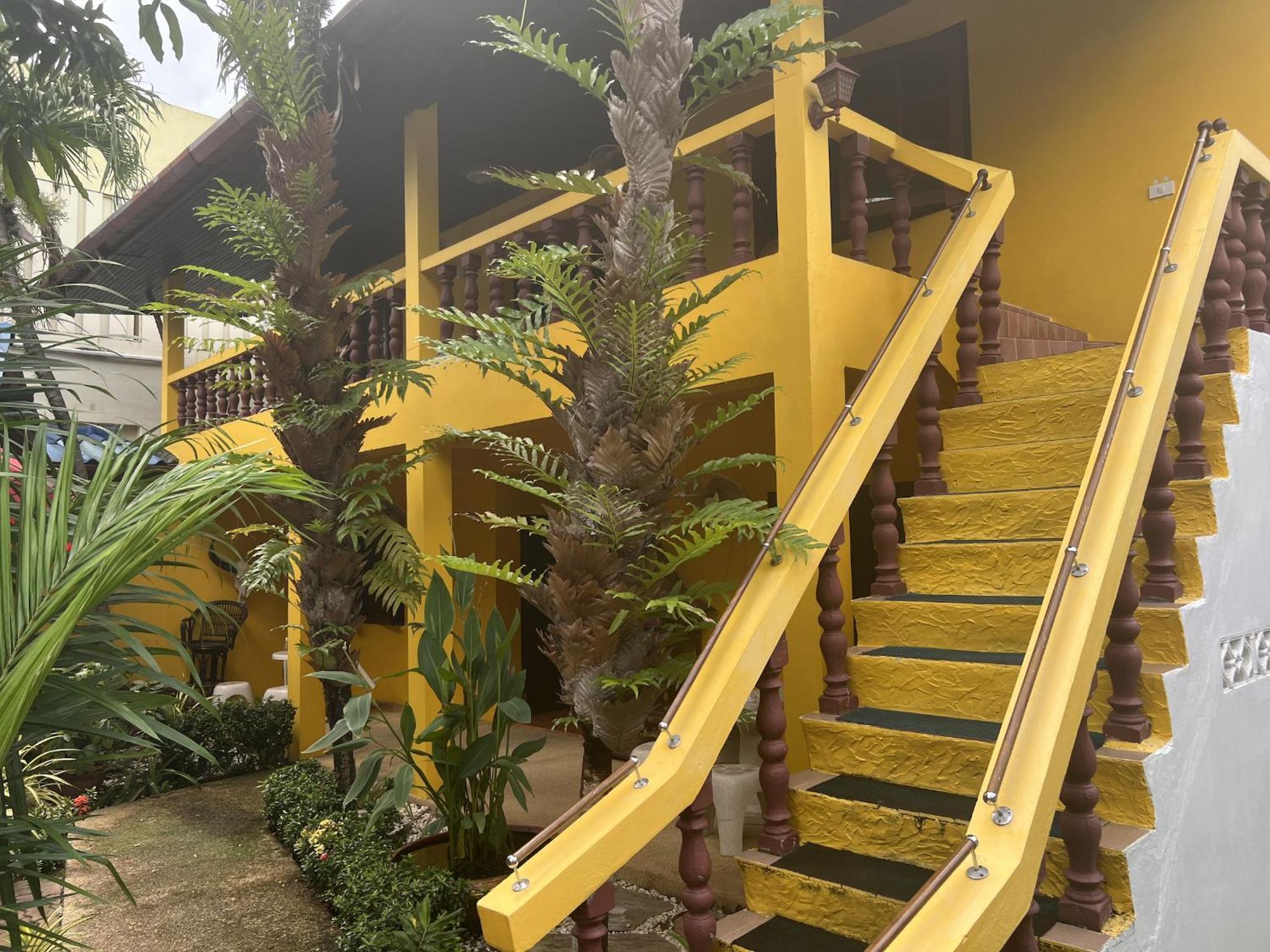 بيت الضيافة Baan Orchid Patong المظهر الخارجي الصورة