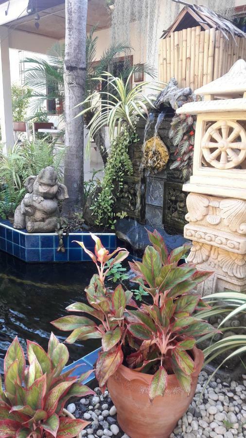 بيت الضيافة Baan Orchid Patong المظهر الخارجي الصورة