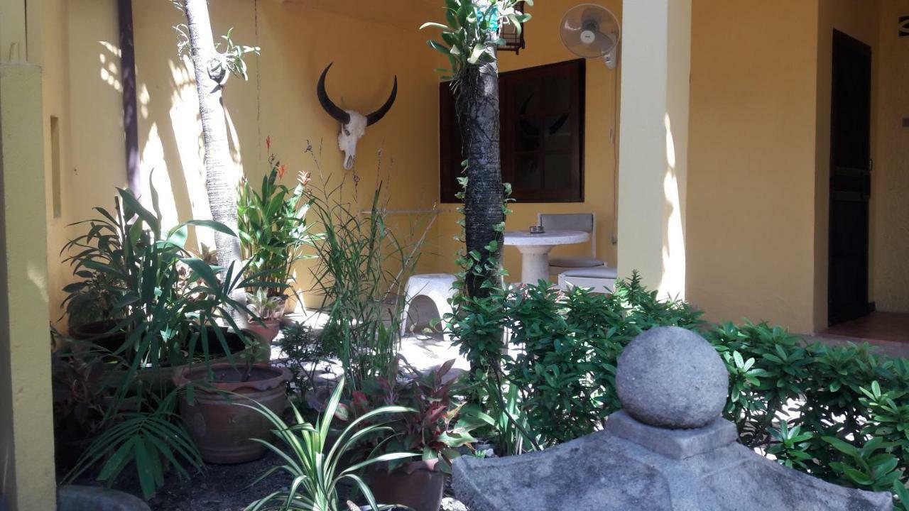 بيت الضيافة Baan Orchid Patong المظهر الخارجي الصورة